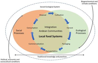 Conceptualization of alternative food networks in Latin America: a case study of a local food system in Southwestern Colombia